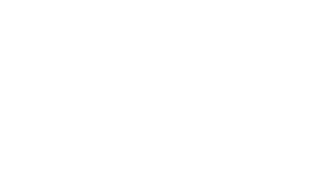 White North Face Logo